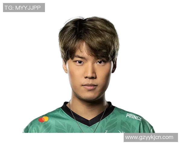 最新英雄联盟战术分析TOP10WE战队表现抢眼引领潮流